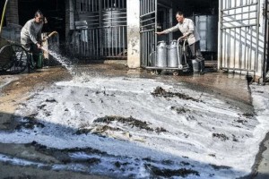 牛奶卖不出去倒掉也不送给贫民那房子呢会降价卖给贫民么